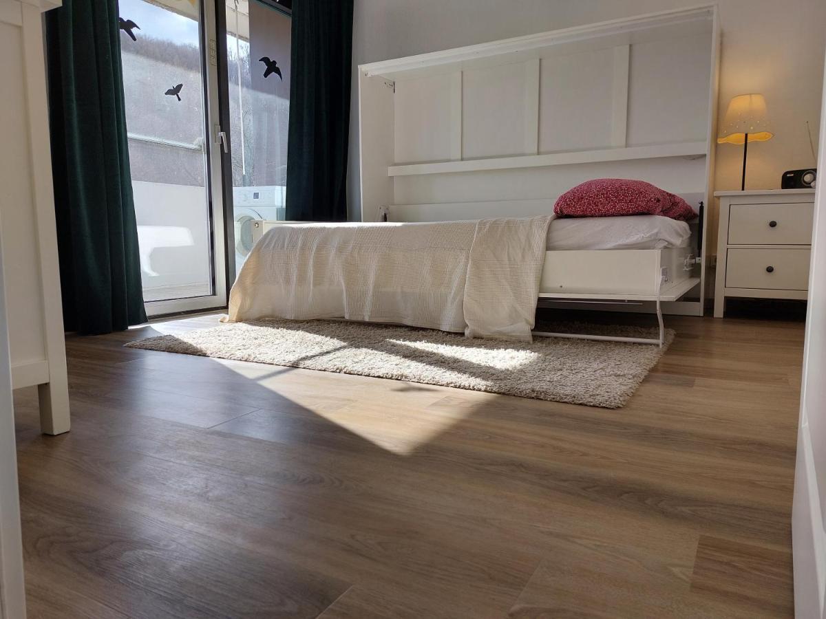 Schwalbennest Apartment Бад Харцбург Екстериор снимка